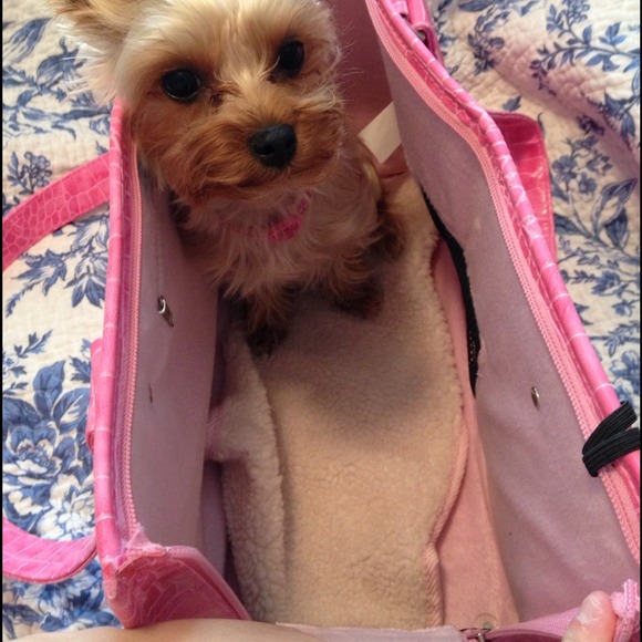 More pictures 💛 - Picture 3 of 3