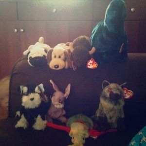 Ty beanie babies/ buddy