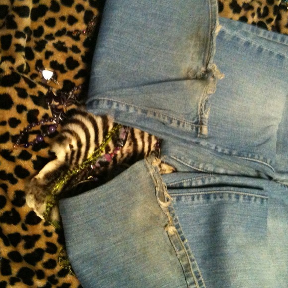 Traded - Picture 3 of 4