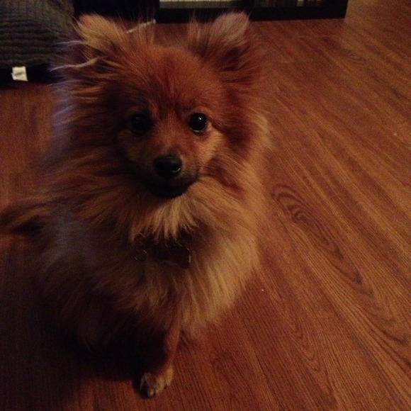 Meet Your Seller (and Buyer) - Picture 3 of 4