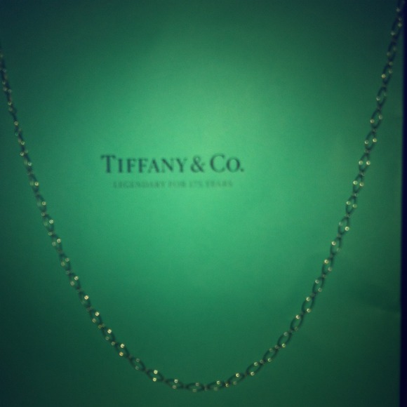 Tiffany's Oval link chain in sterling silver. 20"