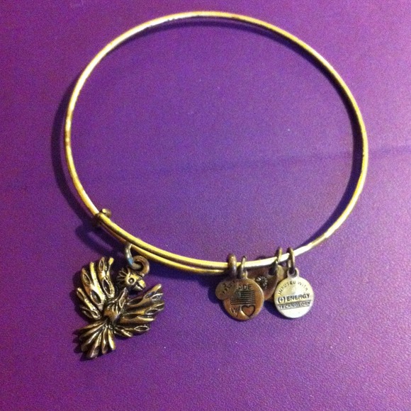 Alex and Ani Phoenix bangle