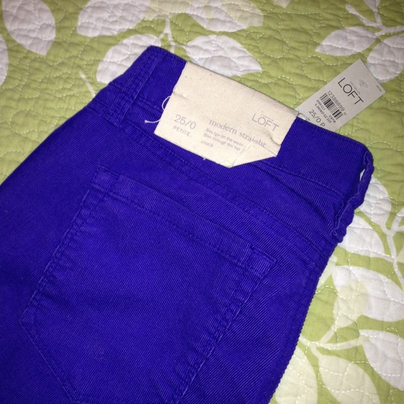 Ann Taylor LOFT modern straight cords