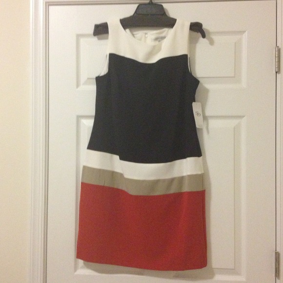 NWT Sandra Darren color blocked sleeveless dress.