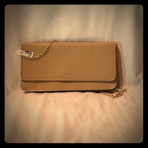 Aldo Clutch