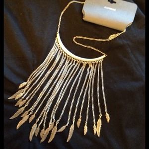 Express Feather Necklace
