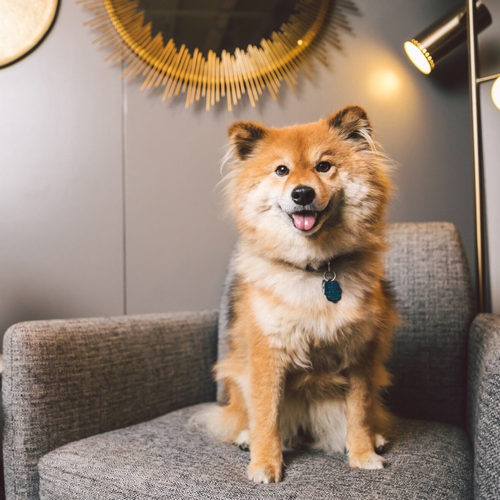 Meet the seller/buyer!