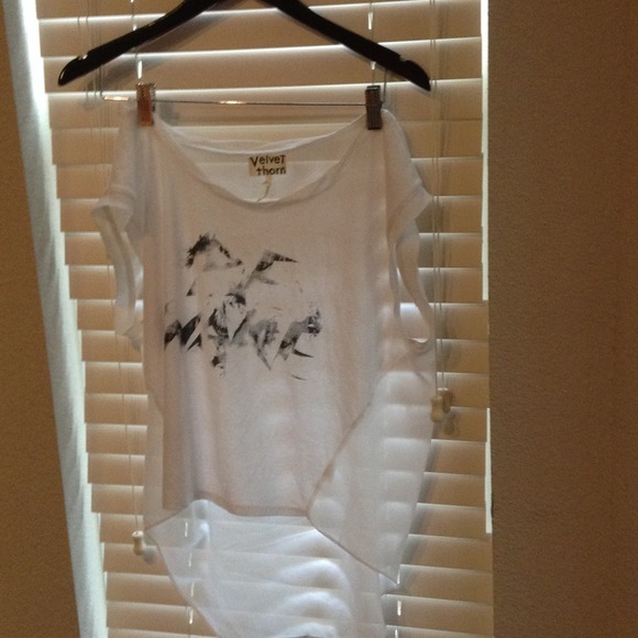 Velvet thorn top