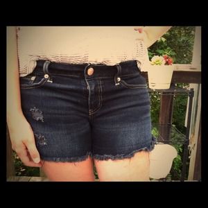 American Eagle Dark Denim Shorts
