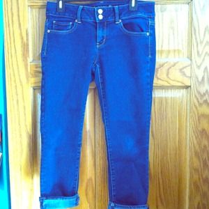 American Eagle Artist Crop Jeans
