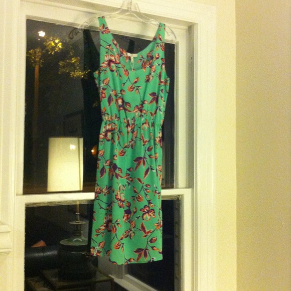 Spring 2013 Joie Dress