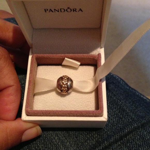 💢SOLD💢Saturn flower pandora charm