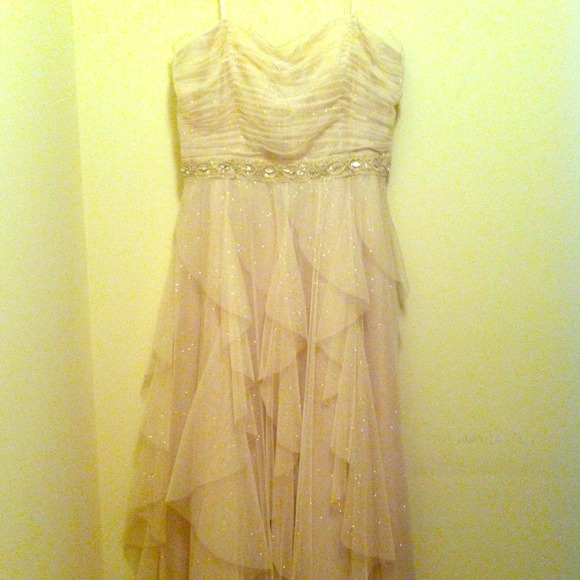 A sparkly champaign  color dress