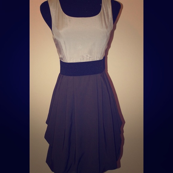 Gray & Black Dress