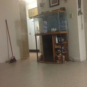 Fish Tank  50 gallón