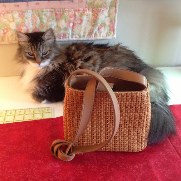 Fossil purse