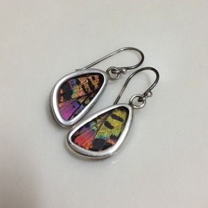 Real Butterfly Wings Earrings!!