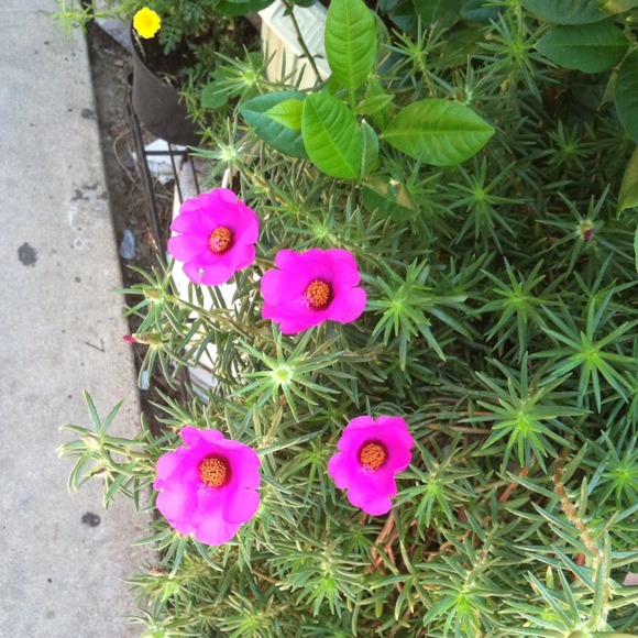 FeedBack post!!!💋😍💚 - Picture 3 of 3