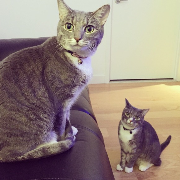 A lil' bit about me [Comments Full, Thank You!] - Picture 4 of 4