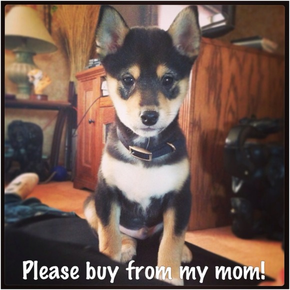 Buy stuff so I can get a new toy! :)