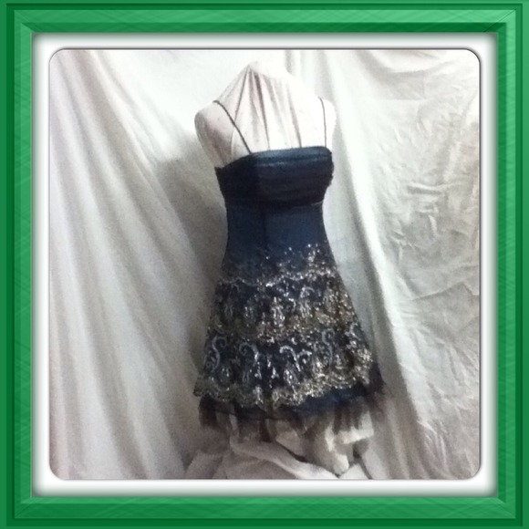 Glitter on Brown over BlueGreen Corset Style Dress
