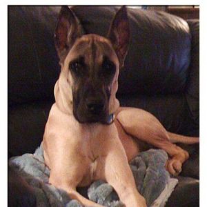 Closing JAN 1st.!! Make me an offer!!