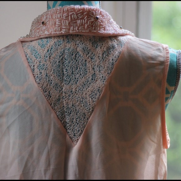 NEW Stunning Blush Sheer Top - Picture 3 of 3