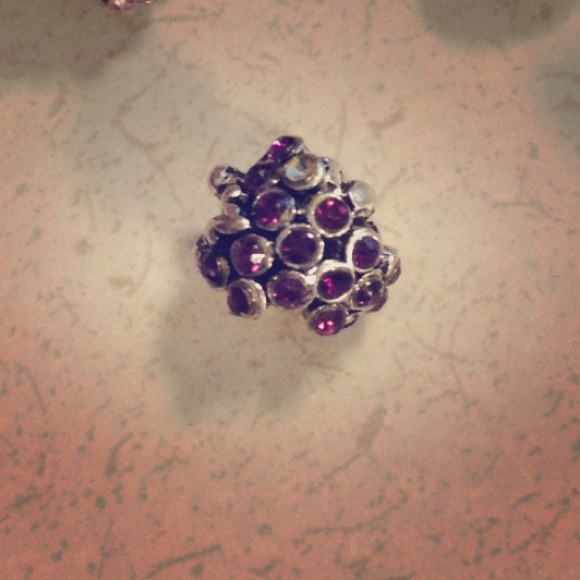 Pandora style purple grapes charm