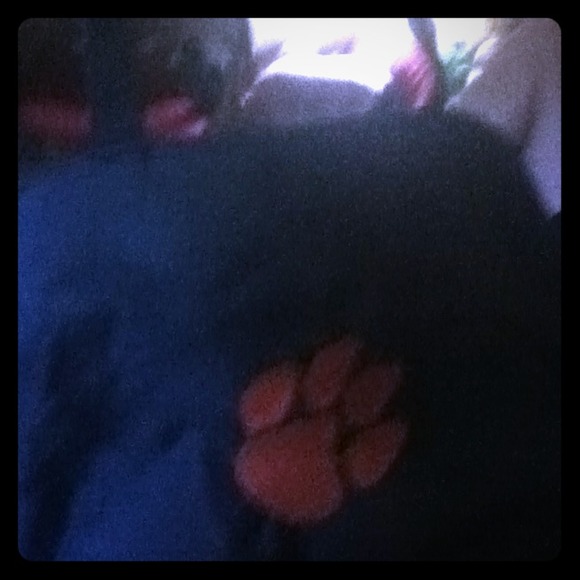 Clemson purse