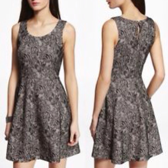 Express fit and flare lace dress