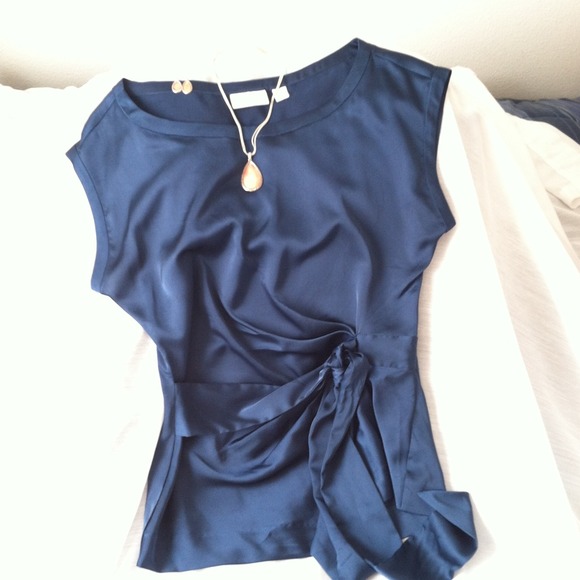 Silky Top - Picture 1 of 1