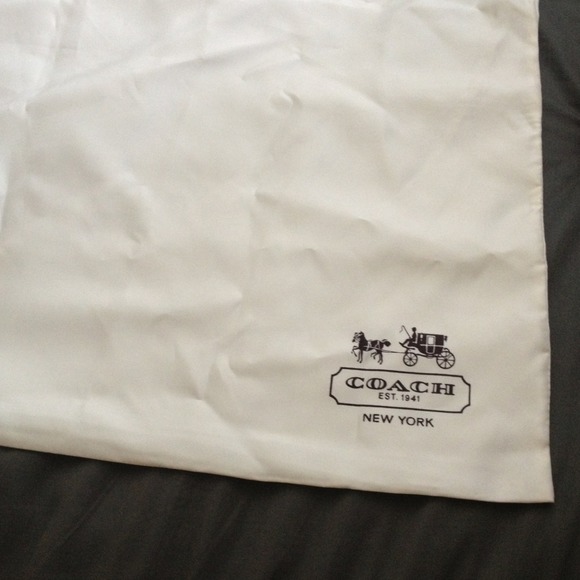 LARGE Authentic coach dust bag!
