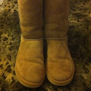 UGG Boots- Authentic Tall Chestnut UGG's. Size 7