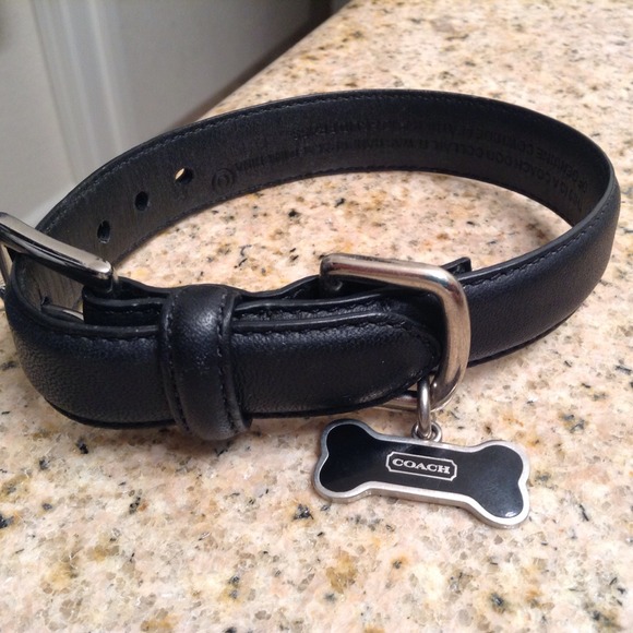 ADORABLE COACH DOG COLLAR SIZE XS-BONE CHARM