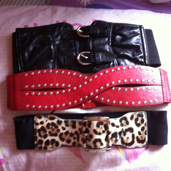Bundle of belts
