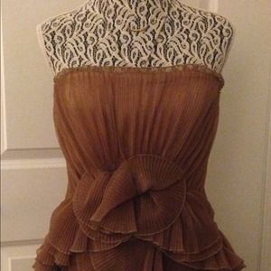 BCBG Max Azria Runway Taupe Chiffon Dress