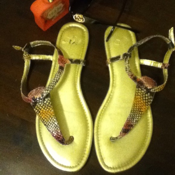 Bundle for erickf30 hold till tomorrow 23 :-)