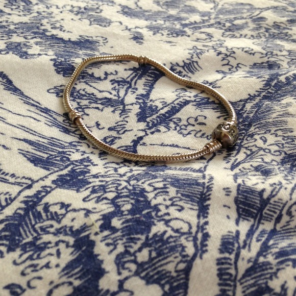 Pandora Bracelet 💫