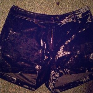 Dark Purple Velvet High-Waisted Shorts