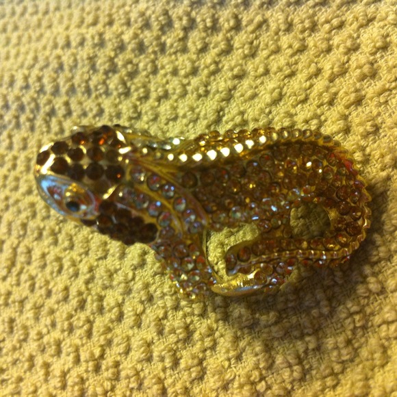 ↘️Iguana bling! - Picture 2 of 3