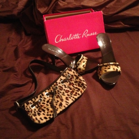 Brown leopard print shoes and hand bag