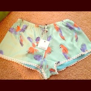 Ladakh adorable shorts!