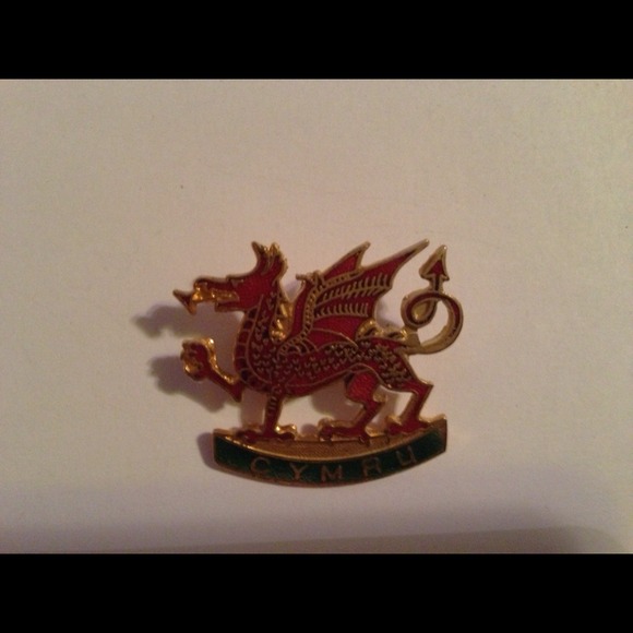 🎁🎁Gifted to Charl🎁🎁 Welch Dragon Pin