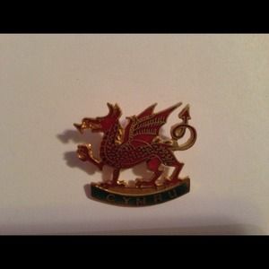 🎁🎁Gifted to Charl🎁🎁 Welch Dragon Pin