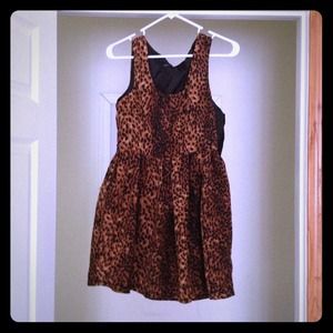 Zara Woman Leopard Dress