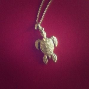 NWOT small cute silver turtle necklace🐢