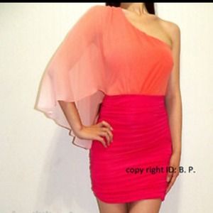 NEW BEBE OMBRE Dress