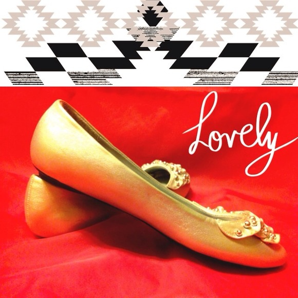 ✨ Pierre Dumas Mac Ballet Flats ✨