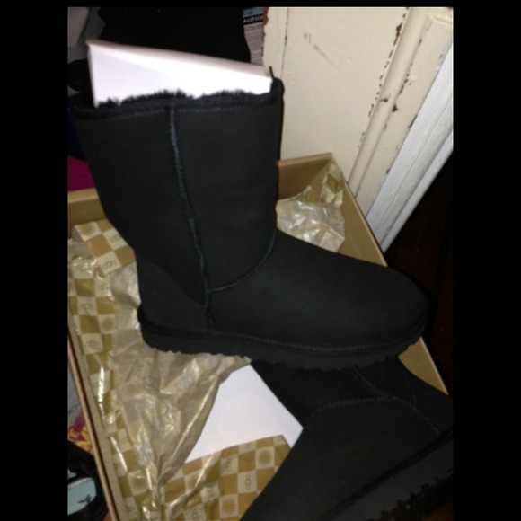 Brand new in box black Uggs