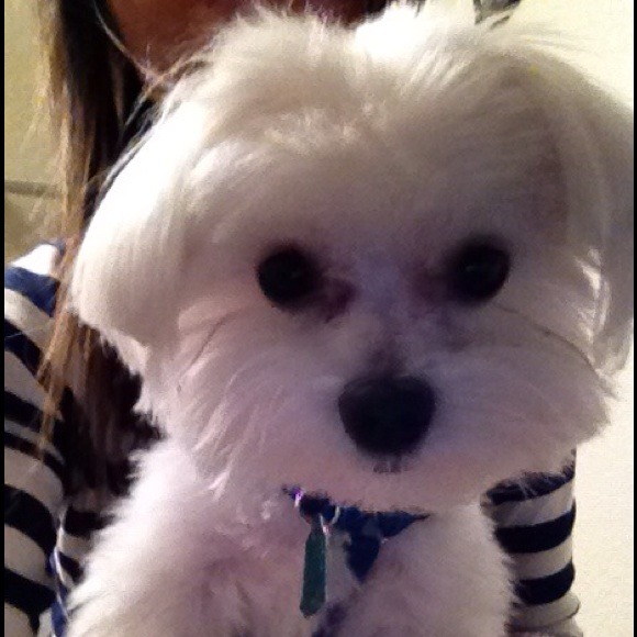 Come check out my mom's closet!!! - Picture 2 of 3